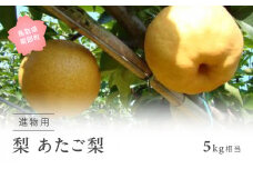 【YA09】あたご梨（進物用5kg箱） 2025年11月出荷予定 ＜数量限定＞