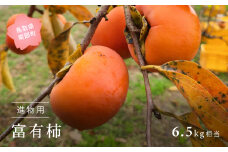 【YA12】富有柿（進物用6.5kg箱）2025年11月出荷予定＜数量限定＞