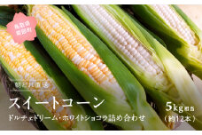 【KN02】南部町産 朝採れスイートコーン5kg箱 食べくらべセット（ドルチェドリーム・ホワイトショコラ）2025年収穫分＜数量限定＞