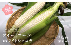 【KN04】南部町産 朝採れスイートコーン（ホワイト種ホワイトショコラ）5kg箱  2025年収穫分＜数量限定＞