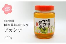 【FJ02】里地・里山のめぐみ 純粋ハチミツ（アカシア） 600g ＜数量限定＞