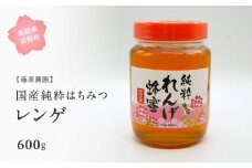 【FJ03】里地・里山のめぐみ 純粋ハチミツ（レンゲ） 600g ＜数量限定＞