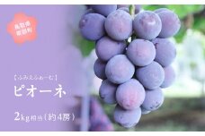 【FM02】ピオーネ 約2kg　9月出荷予定＜2025年収穫分・数量限定＞