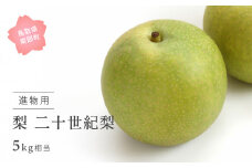 【YA13】二十世紀梨（進物用5kg箱）2025年8月下旬～9月上旬出荷予定＜数量限定＞