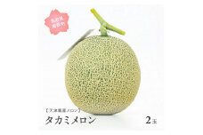 【AM01】天津鳳凰メロン（タカミ・2玉）2025年7月出荷予定＜数量限定＞