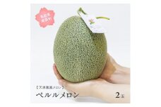 【AM03】天津鳳凰メロン（ペルル・2玉）2025年7月出荷予定＜数量限定＞