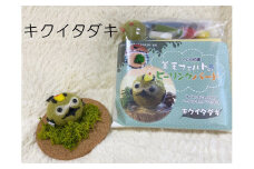 【NM26】羊毛フェルトのヒーリングバードキット（キクイタダキ）