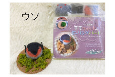 【NM28】羊毛フェルトのヒーリングバードキット（ウソ）