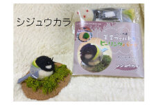 【NM24】羊毛フェルトのヒーリングバードキット（シジュウカラ）
