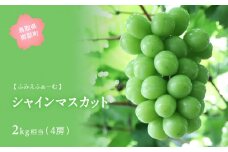 【FM05】シャインマスカット 約2kg　9月中旬～出荷予定＜2025年収穫分・数量限定＞