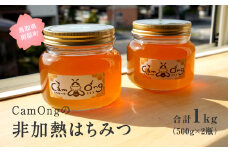 【CA02】CamOngの非加熱はちみつ 合計1kg(500g×2瓶) ハチミツ 蜂蜜