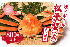 【北海道・沖縄・離島配送不可】【タグ付き】活〆ボイル松葉蟹(大) 800g以上 松葉ガニ 松葉がに カニ かに 境港 マルツ (MR08)