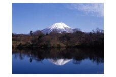 C182大山Gビール＆大山ハムコースA-1 ３回お届けAセット
