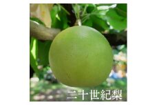 C061こばやし農園２０世紀梨　3ｋｇ