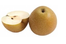 C057こばやし農園王秋梨　3ｋｇ