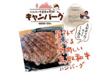 C074キャンバーグ３００ｇ×２個（鳥取和牛100％キャンプ用ハンバーグ）