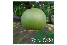 C059こばやし農園なつひめ梨　３ｋｇ