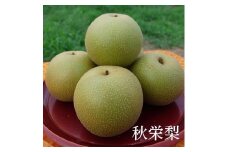 C060こばやし農園秋栄梨　3ｋｇ