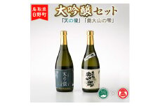 BK1＜大岩酒造本店＞大吟醸セット 【大山ブランド会】