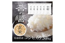 【要確認：配送時期指定NG】【先行予約】【新米】【令和7年産】（玄米 30kg）優栽：特別栽培米 鳥取県日野町産 コシヒカリ お米 米