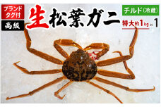 【先行予約】ブランドタグ付高級生松葉ガニ（特大約1kgを1枚）OM-26 タグ付き 松葉ガニ 松葉がに かに 蟹 カニ 鳥取県境港 御来屋漁港