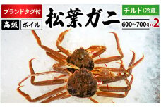 【先行予約】ブランドタグ付高級ボイル松葉ガニ（600g～700gを2枚）OM-27 タグ付き 松葉ガニ 松葉がに かに 蟹 カニ 鳥取県境港 御来屋漁港