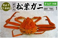 【先行予約】訳あり足1本折れボイル松葉ガニ（600g～700gを1枚）OM-31 わけあり 松葉ガニ 松葉がに かに 蟹 カニ 鳥取県境港 御来屋漁港