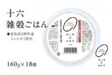 十六雑穀ごはん 雑穀パックご飯 160g×18個 レトルト 雑穀パックごはん 雑穀 鳥取県日野町産コシヒカリ 米 こめ コメ おこめのみかた