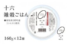 十六雑穀ごはん 雑穀パックご飯 160g×12個 レトルト 雑穀パックごはん 雑穀 鳥取県日野町産コシヒカリ 米 こめ コメ おこめのみかた
