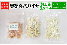 奥ひのパパイヤ加工品3点セット