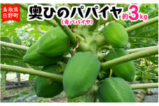 奥ひのパパイヤ（青パパイヤ）3kg