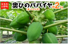 奥ひのパパイヤ（青パパイヤ）2kg