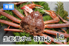 【離島発送不可】活松葉ガニ 特特大 【1枚・1.2kg以上】 川口商店 松葉ガニ 松葉がに かに 蟹 カニ 鳥取県境港 鳥取県日野町