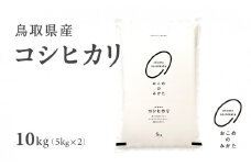 【先行予約】新米 令和7年産 鳥取県産コシヒカリ 10kg 返礼品 米 お米 おこめ こめ こしひかり おこめのみかた 鳥取県日野町