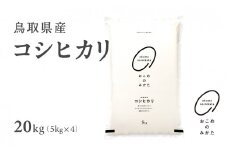 【先行予約】新米 令和7年産 鳥取県産コシヒカリ 20kg 返礼品 米 お米 おこめ こめ こしひかり おこめのみかた 鳥取県日野町