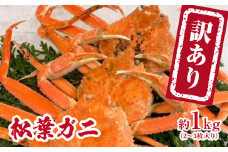 【チルドでお届け】【ボイル】境港水揚げ 訳あり松葉ガニ 1kg(2～3 枚入り) 魚々魚厳選 松葉がに 松葉蟹