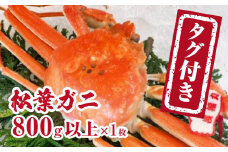 【チルドでお届け】【ボイル】境港水揚げ タグ付き松葉ガニ (800g以上×1枚) 魚々魚厳選 松葉がに 松葉蟹
