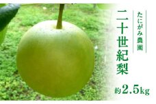 【先行予約】たにがみ農園 二十世紀梨 2.5kg(5～9玉) 梨 なし フルーツ 果物 くだもの 鳥取県 佐治 梨 なし ナシ