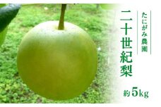 【先行予約】たにがみ農園 二十世紀梨 5.0kg(12～18玉) 梨 なし フルーツ 果物 くだもの 鳥取県 佐治 梨 なし ナシ