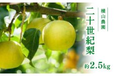 【先行予約】横山農園 二十世紀梨 2.5kg(5～9玉) 梨 なし フルーツ 果物 くだもの 鳥取県 佐治 梨 なし ナシ