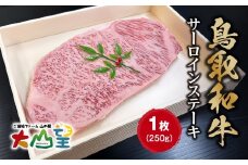 大山望 鳥取和牛 サーロインステーキ 1枚250g 牛肉 和牛 お肉 ステーキ