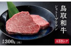 A5ランク 鳥取和牛シャトーブリアン 2枚 合計300g 牛肉 精肉 肉 カタセイ シャトーブリアン ヒレステーキ ヒレ ステーキ 肉 フィレステーキ ステーキ お肉 和牛 高級ヒレステーキ ヒレ肉 最高級 黒毛和牛 牛肉 お肉