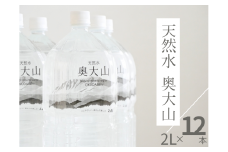天然水奥大山 2L×12本 ミネラルウォーター 軟水 ペットボトル 2リットル 計24リットル ヨーデル PET 0201