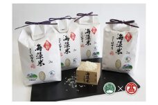 海藻米こしひかり（大山ブランド会）お米 コメ 送料無料 2kg×4 米子高島屋  77-BH1 0350