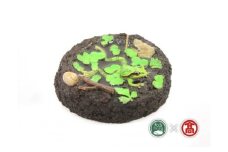 ＜カエル工房＞カエルフィギュア「雨蛙の水浴　模様あり｣（大山ブランド会）米子高島屋 50-BV1 0392