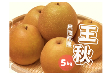 王秋 梨 5kg 鳥取県産 JA米子選果場【10月中旬～10月下旬頃発送】おうしゅう ナシ なし 5キロ 0612