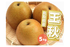 王秋 梨 5kg 5~16玉前後 鳥取県産 先行予約受付 2025年秋冬収穫分 なし5キロ TM34  0690