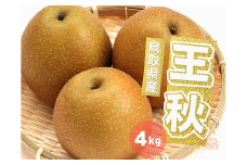 王秋 梨4kg 4～13玉前後 鳥取県産 先行予約受付 2025年秋冬収穫分 なし 4キロ TM40  0695