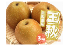 王秋 梨 3kg 3~8玉前後 鳥取県産 先行予約受付 2025年秋冬収穫分 なし 3キロ TM46  0697