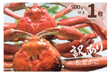 訳あり 蒸し松葉がに(ずわいがに) 1枚 冷蔵発送 カニ 境港 山芳海産 0782